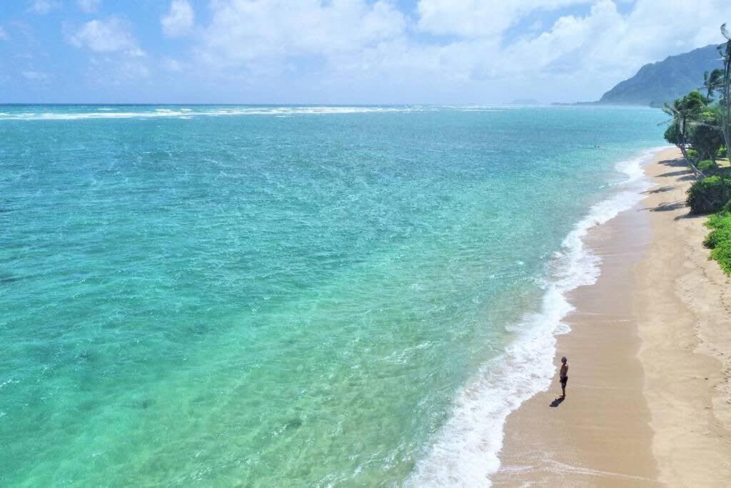 Luxury Beachfront Condo Hau'ula Exteriör bild
