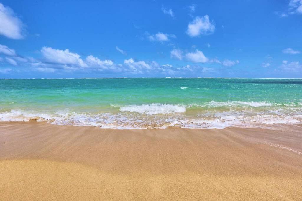 Luxury Beachfront Condo Hau'ula Exteriör bild